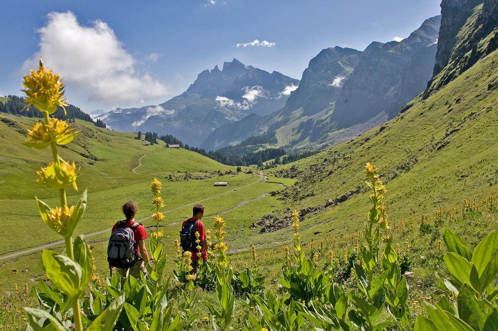 Hotel National Resort & Spa Champéry Dış mekan fotoğraf